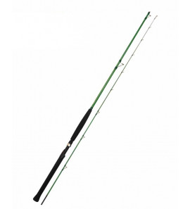 CANNA TICA WASABI WINDS TYPE 2.40MT