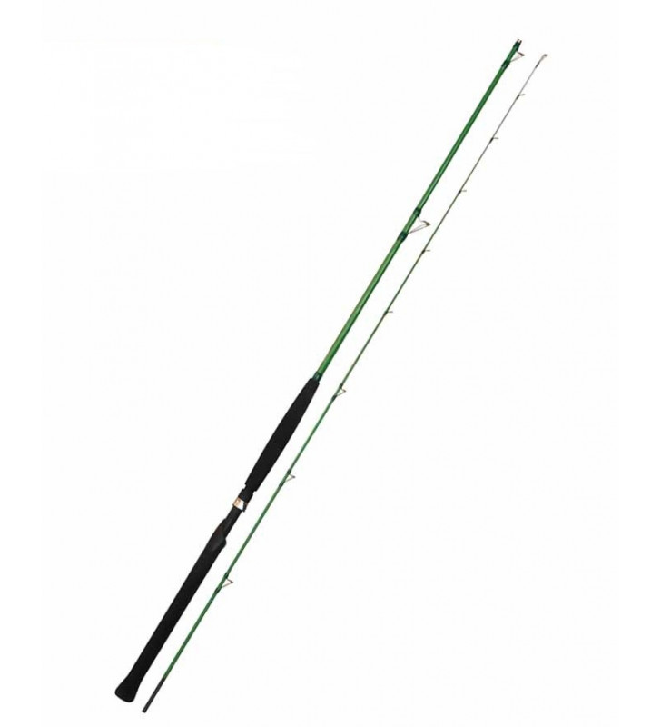 CANNA TICA WASABI WINDS TYPE 2.40MT