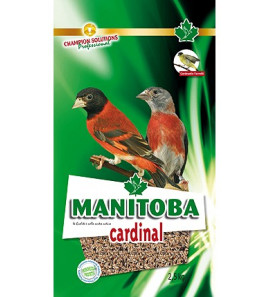 MANGIME MANITOBA INDIGENA 2.5KG