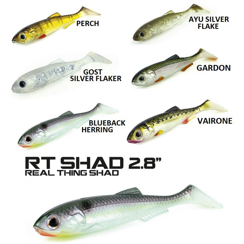 MOLIX SS SHAD 5'' 14GR.