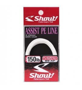 SHOUT ASSIST PE LINE 89-AP