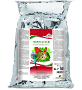 CLIFFI MAIOR PASTONE PRONTO COLOR DA 5KG