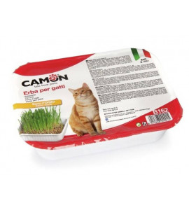 CAMON GRASS FOR CATS WITH BARLEY SEEDS