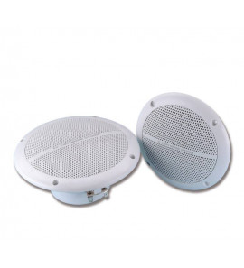 TREM PAIR OF DOUBLE CONE SPEAKERS 100W