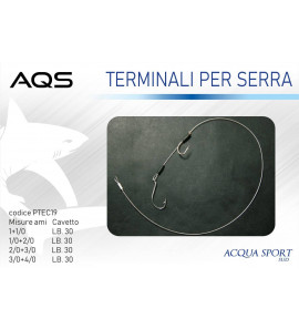 AQS TERMINALE 2 AMI PER SERRA