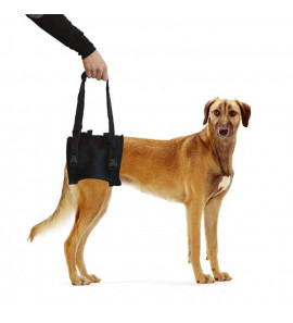 LEOPET PROFI DOG SUPPORTS FOR THE HIND LIMBS