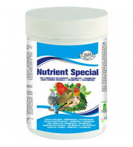 MAIOR NUTRIENT SPECIAL 100GR