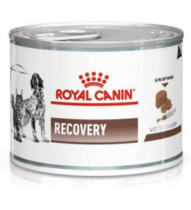 ROYAL CANIN RECOVERY CANI E GATTI 195GR