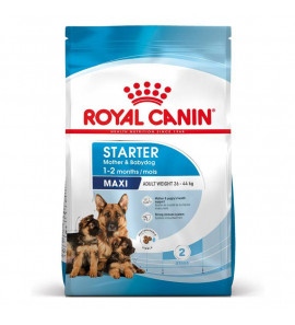 ROYAL CANIN MAXI STARTER MOTHER E BABYDOG 4KG