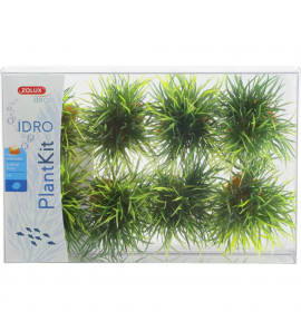 ZOLUX PLANTKIT IDRO PIANTA SMALL X8