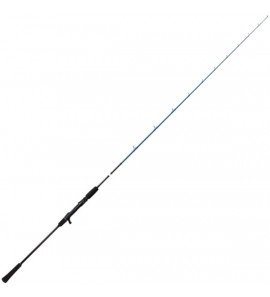 SAVAGE CANNA SLOW JIGGING 1.93MT 200GR