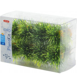 ZOLUX PLANTKIT IDRO PIANTA SMALL X16