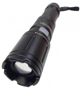 CFG DUAL POWER TORCH 600 LUMEN 5W