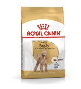 ROYAL CANIN ADULT POODLE BARBONCINO