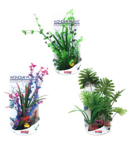 AMTRA WONDER PLANT SERIES “H” 30-35 CM