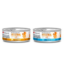 DISUGUAL INTESTINAL METABOLIC BALANCE DIET CAT 85GR