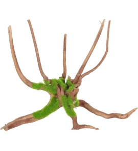 ZOLUX ROOT WOOD SPIDER KIPOUSS M