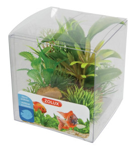 ZOLUX DECORATION MIX 6 PLANTS IN BOX MODEL 2