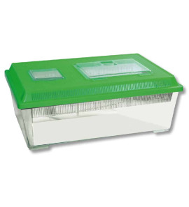 AMTRA BOXLIFE FLAT JUMBO CONTENITORE IN PLASTICA PER PESCI