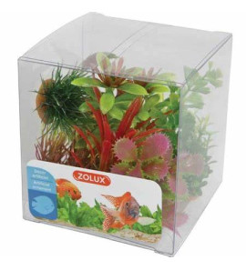 ZOLUX DECORATION MIX 6 PLANTS IN BOX MODEL 1