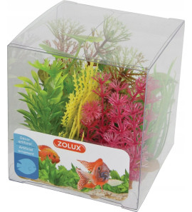 ZOLUX DECORATION MIX 6 PLANTS IN BOX MODEL 4