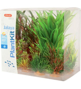 ZOLUX PLANTKIT IDRO N2 DECORAZIONE ACQUARIO