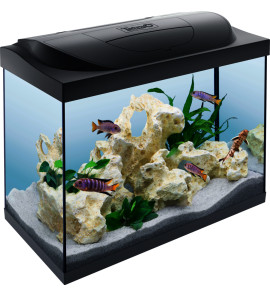 TETRA ACQUARIO STARTER LINE LED NERO 80 LITRI