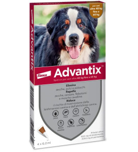 ELANCO ADVANTIX DA 40KG A 60KG ANTIPARASSITARIO PER CANI