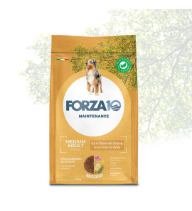 FORZA10 MEDIUM ADULT MAINTENANCE POLLO CON PATATE 11-35 KG