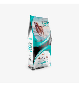 DAGEL TOP SALMON SALMON MAINTENANCE 20KG