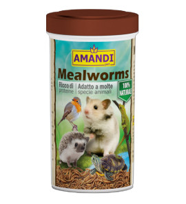 PRODAC MEALWORMS