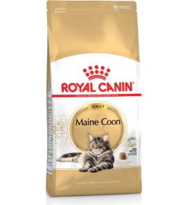 ROYAL CANIN GATTO MAINE COON