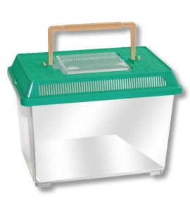 AMTRA BOXLIFE CONTENITORE PICCOLO IN PLASTICA PER PESCI