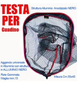 OLYMPUS TESTA GUADINO 55X45CM