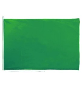 GFN BANDIERA VERDE DI SEGNALAZIONE IN STAMINA