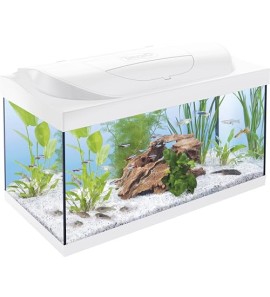 TETRA STARTER LINE LED WHITE 54 LITERS