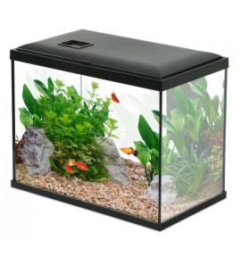 ZOLUX ACQUARIO INITIO 40 DA 24LT