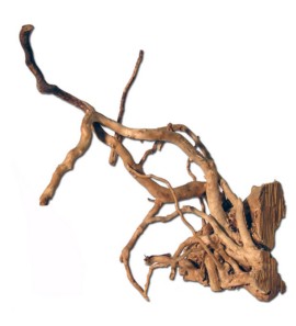 ZOLUX RED WOOD 40-50CM