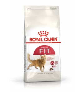 ROYAL CANIN GATTO CROCCANTINI REGULAR FIT 32