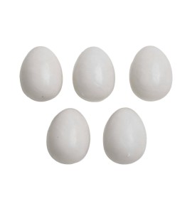 VERSELE LAGA PLASTIC EGGS FOR EXOTIC CANARIES 5PCS