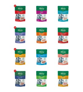 OASY MORE LOVE WET CAT FOOD 70GR BAGS