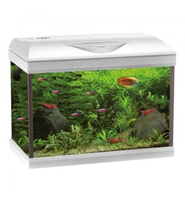 AMTRA ACQUARIO BASIC LED 40 BIANCO 42.5X23.5X33H