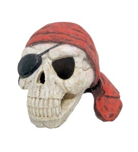 AMTRA TESCHIO PIRATA CON BENDA