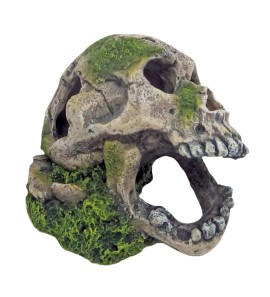 AMTRA TESCHIO CON MUSCHIO