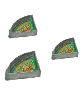 ZOOMED REPTI ROCK CORNER BOWL