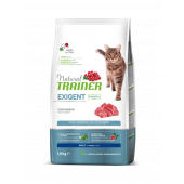 TRAINER-GATTO-SECCO